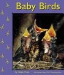 Baby Birds