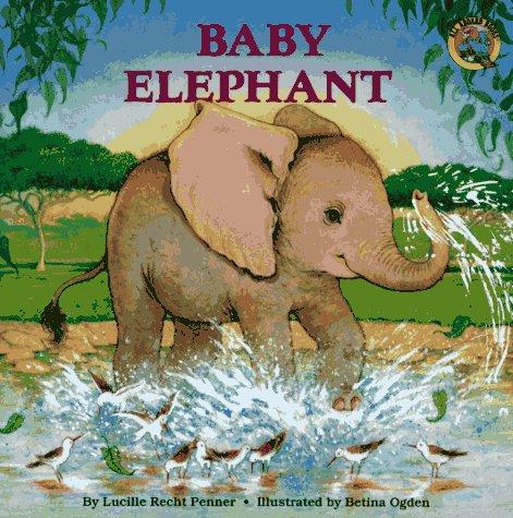 Baby Elephant