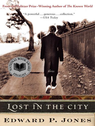 Cover of Lost in the City