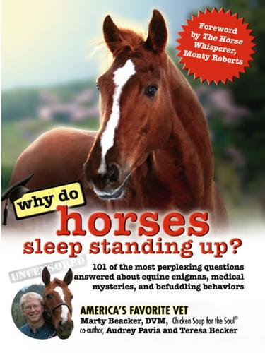 Cover of Why Do Horses Sleep Standing Up?: 101 of the Most Perplexing Questions Answered About Equine Enigmas, Medical Mysteries, and Befuddling Behaviors