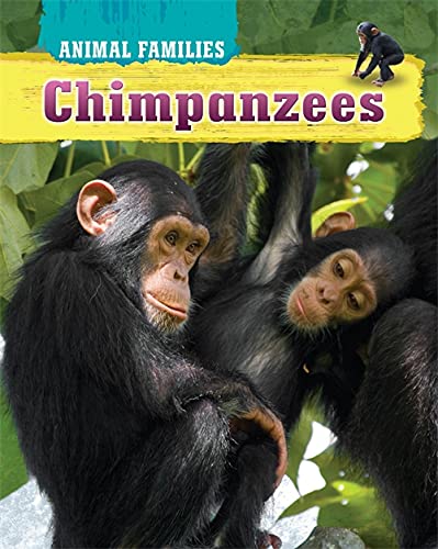 Cover of Animal Families Chimpanzees