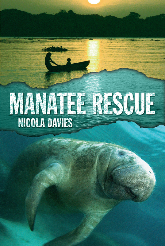 Cover of Manatee Rescue