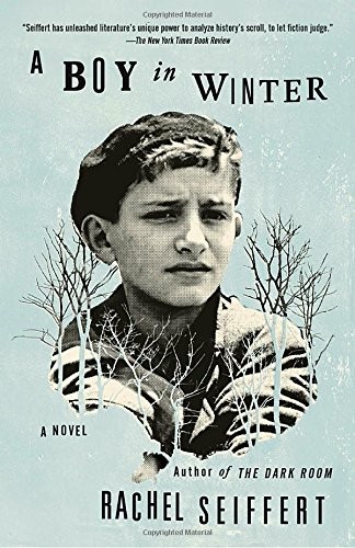 Cover of A Boy in Winter: A Novel