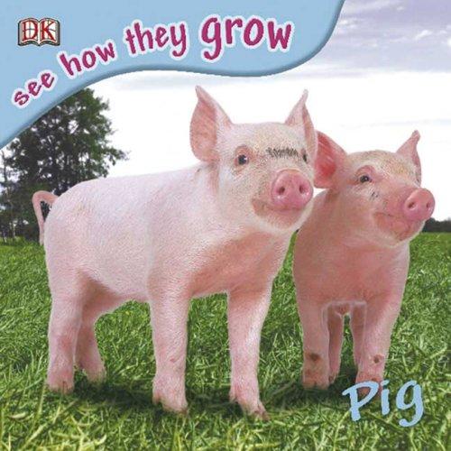 Pig