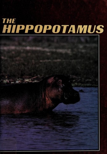 Hippopotamus
