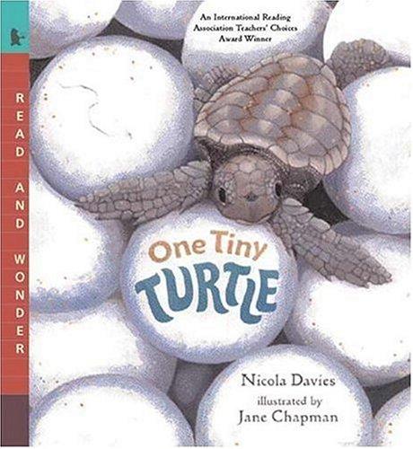 Cover of One Tiny Turtle