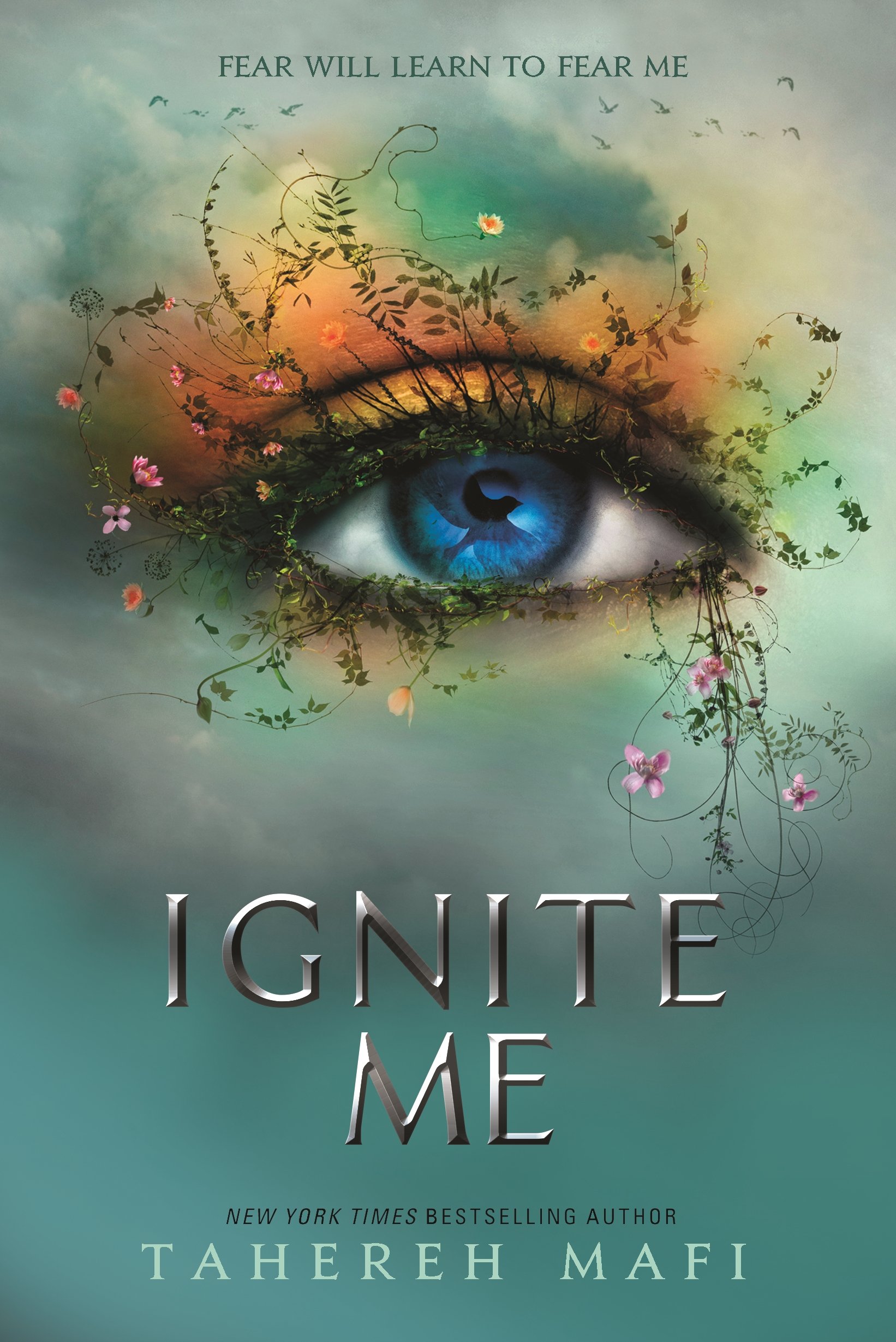 Cover of Ignite Me