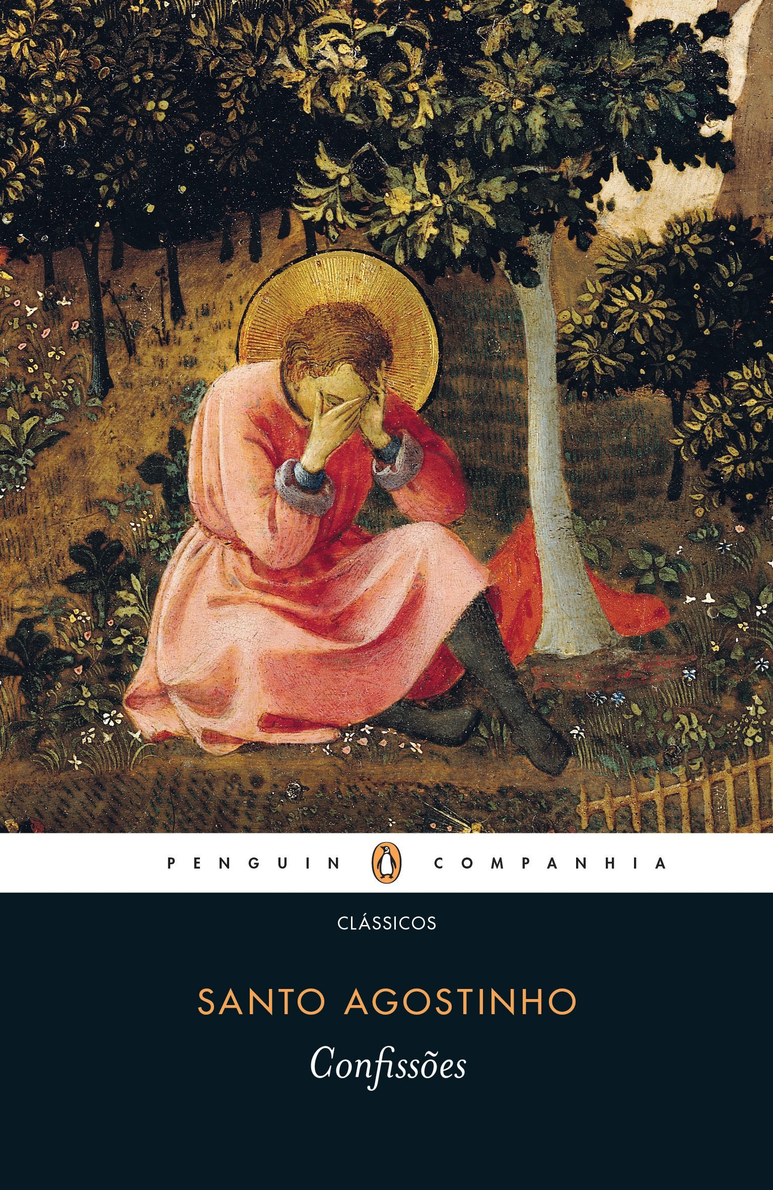 Cover of Confissoes