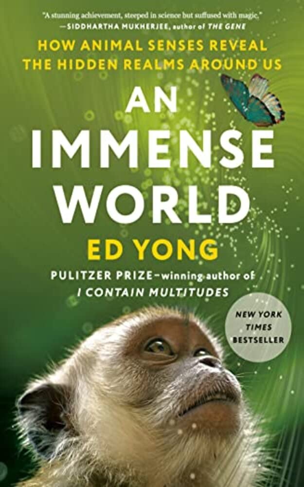 Cover of An Immense World