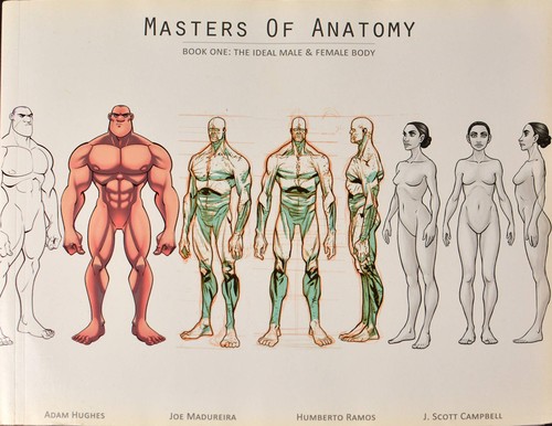 Cover of Masters of Anatomy