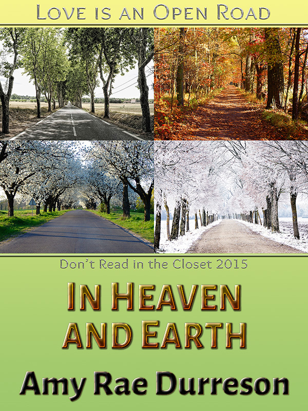Cover of In Heaven and Earth