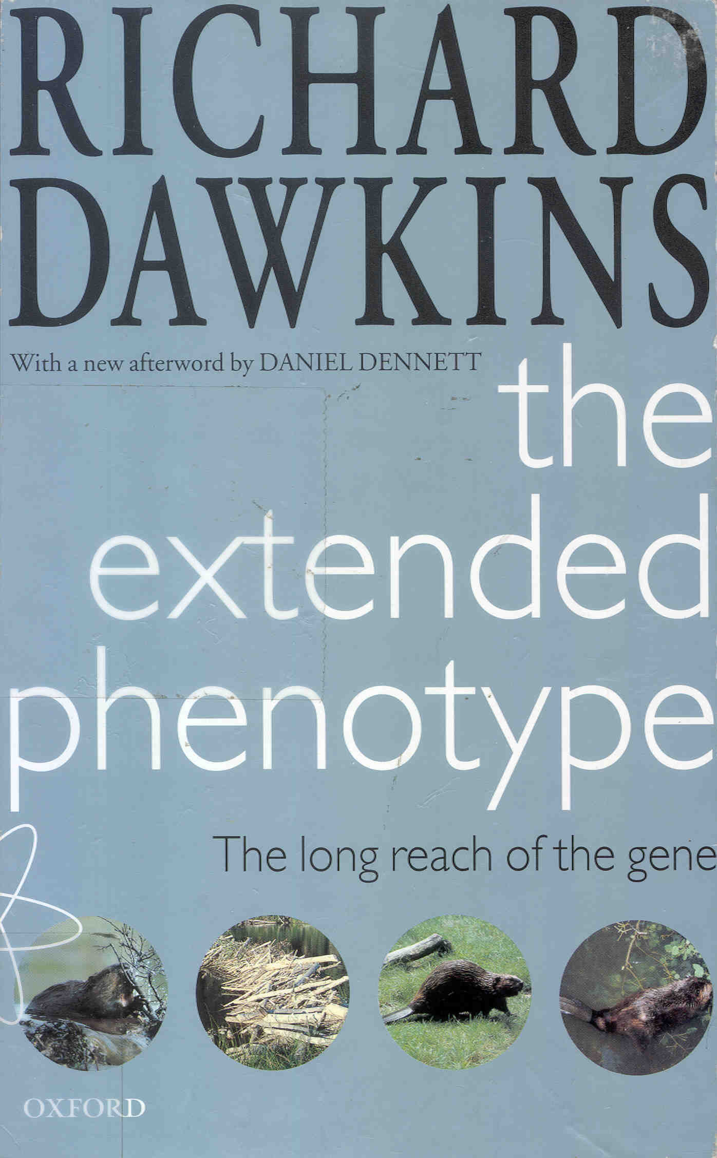 Cover of The Extended Phenotype: The Long Reach of the Gene