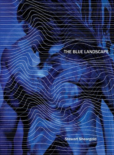 Cover of The Blue Landscape and Other Stories