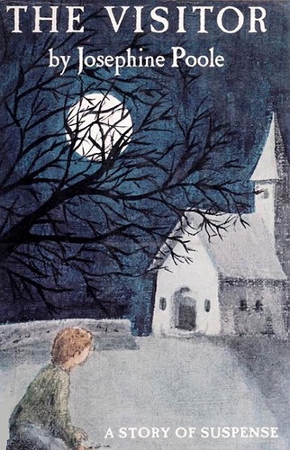 Cover of The Visitor: A Story of Suspense