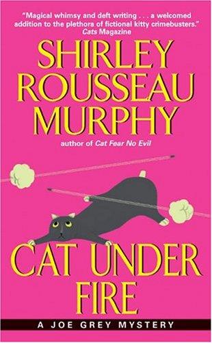 Cat under fire