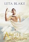 Cover of Angel Undone