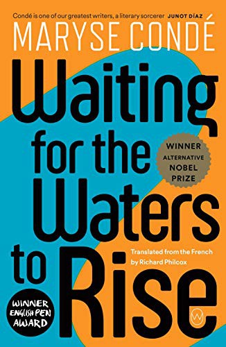 Cover of Waiting for the Waters to Rise