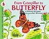 Cover of From Caterpillar to Butterfly