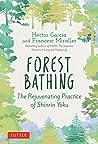 Forest Bathing: The Rejuvenating Practice of Shinrin Yoku