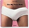 Cover of The Big Penis Book