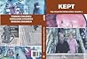 Cover of Kept