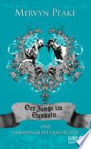 Cover of Der Junge im Dunkeln