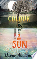 Cover of The Colour of the Sun