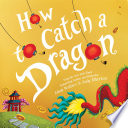 How to Catch a Dragon