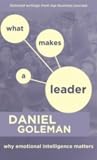 Cover of What Makes a Leader: Why Emotional Intelligence Matters