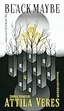 The Black Maybe: Liminal Tales