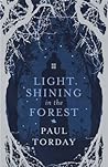 Light Shining In The Forest
