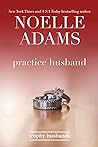 Cover of Practice Husband