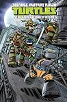 Teenage Mutant Ninja Turtles: New Animated Adventures Volume 3