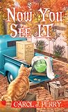 Cover of Now You See It