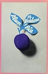 Cover of Plum Pie