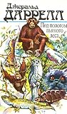 Cover of Pod pologom p'anogo lesa