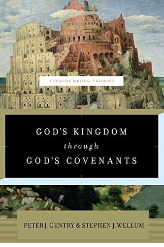 Cover of God's Kingdom through God's Covenants: A Concise Biblical Theology