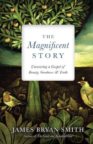 Cover of The Magnificent Story: Uncovering a Gospel of Beauty, Goodness, and Truth