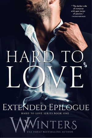 Cover of Never to End - Bonus Epilogue